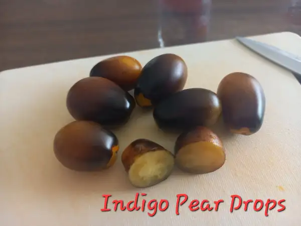 Tomaten: Indigo Pear Drops