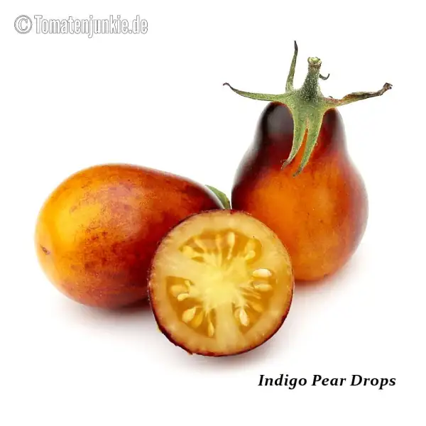 Tomaten: Indigo Pear Drops