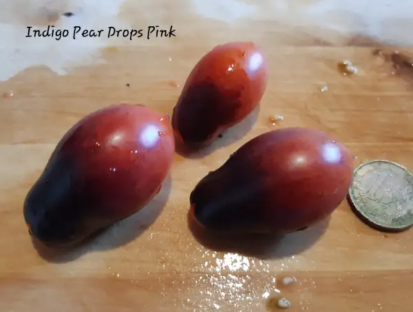 Tomaten: Indigo Pear Drops Pink