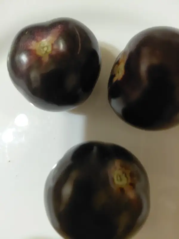 Tomaten: Indigo Rose