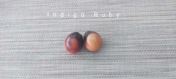 Tomaten: Indigo Ruby