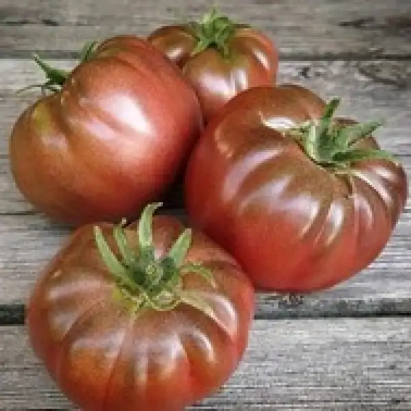 Tomaten: Indira Ghandi Black