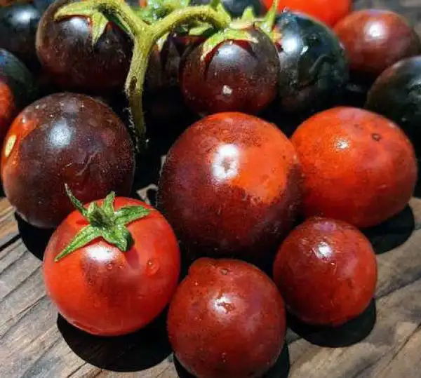 Tomaten: Inkspot