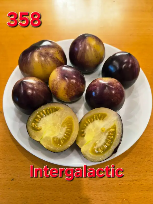 Tomaten: Intergalactic