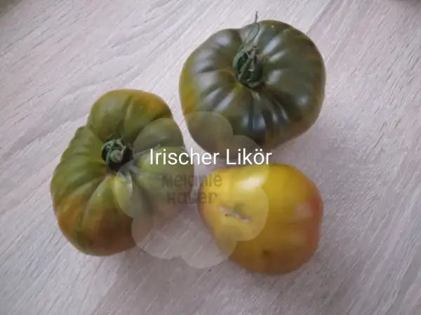 Tomaten: Irischer Likör