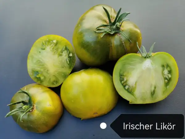 Tomaten: Irischer Likör