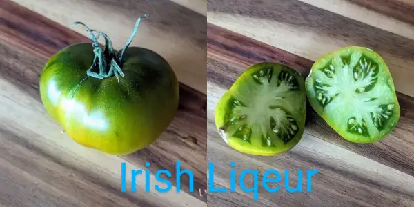 Tomaten: Irish Liqueur