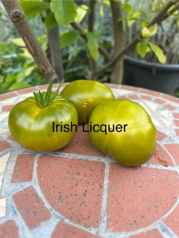 Tomaten: Irish Liqueur