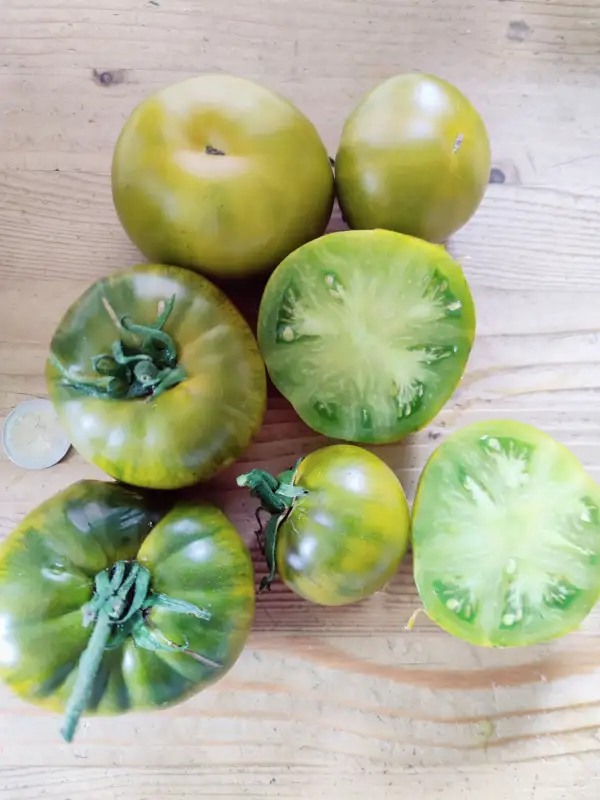 Tomaten: Irish Liqueur