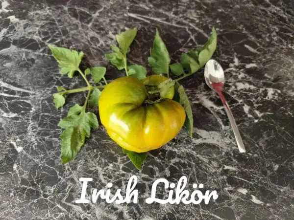 Tomaten: Irish Liqueur