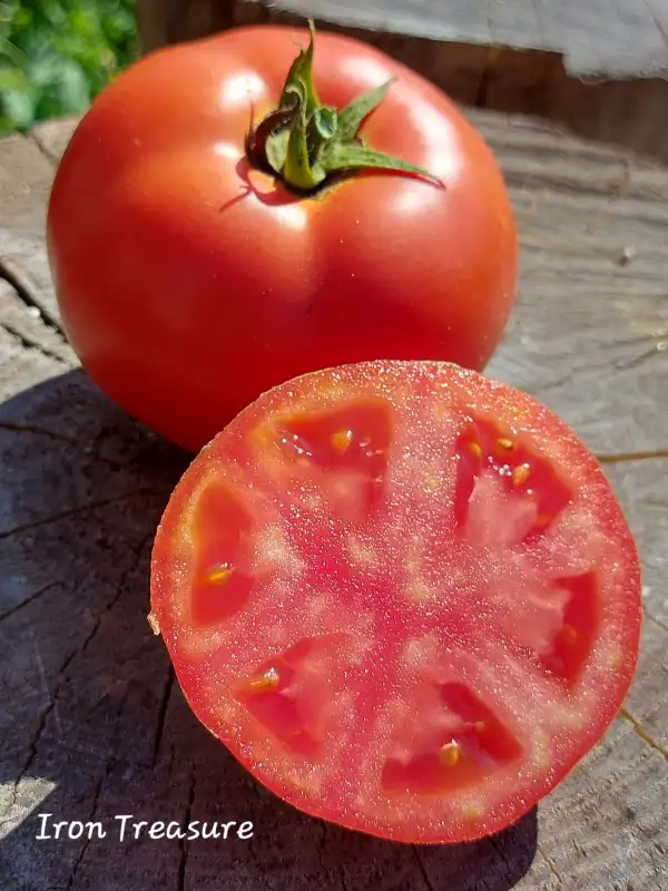 Tomaten: Iron Treasure