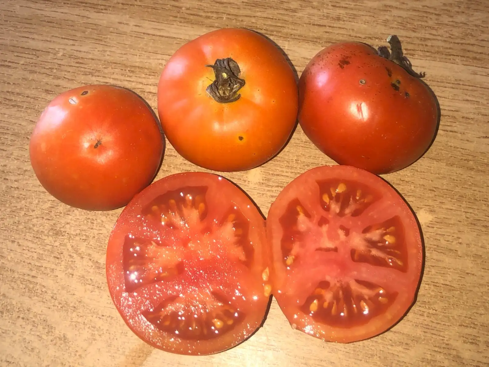 Tomaten: Isolde