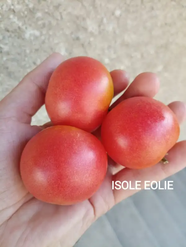 Tomaten: Isole Eolie