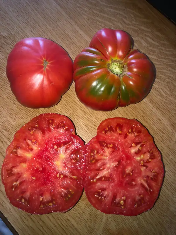 Tomaten: Italian Beefsteak