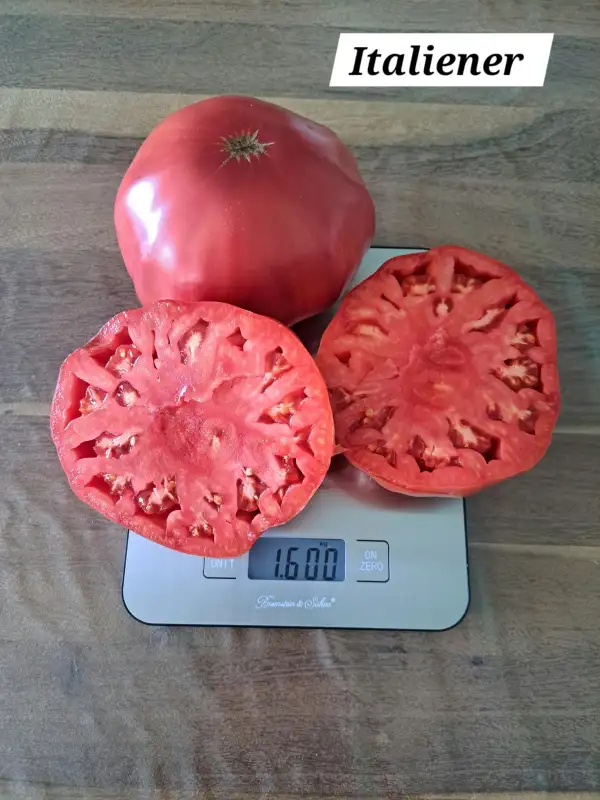 Tomaten: Italiener