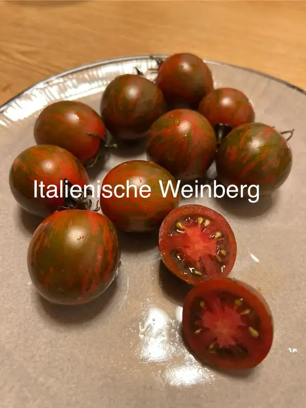 Tomaten: Italienische Weinbergtomate