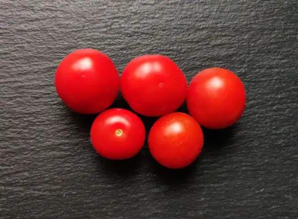 Tomaten: Iva’s Red Berry