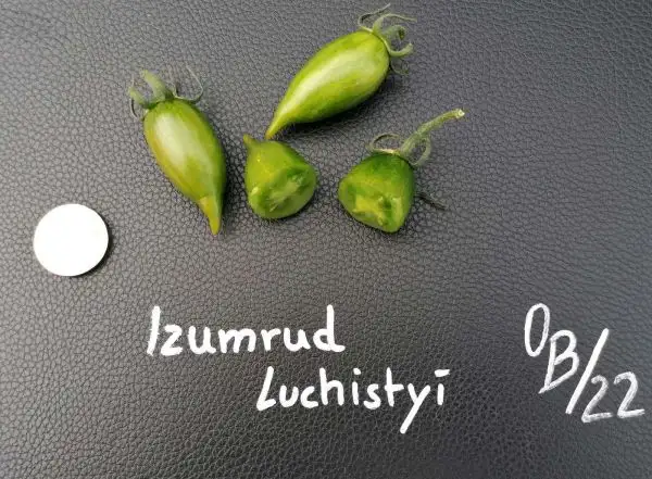 Tomaten: Izumrud luchistyi