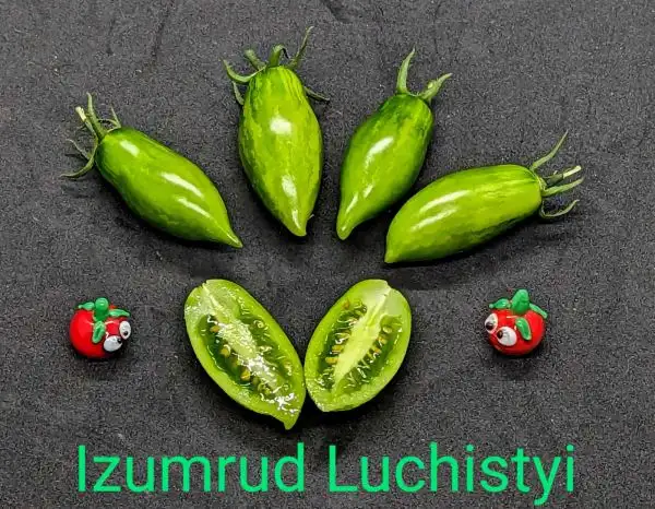 Tomaten: Izumrud luchistyi