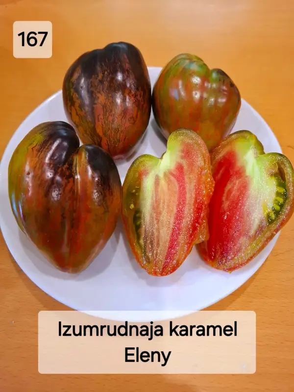 Tomaten: Izumrudnaja karamel Eleny