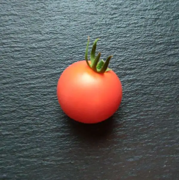 Tomaten: Jörfi