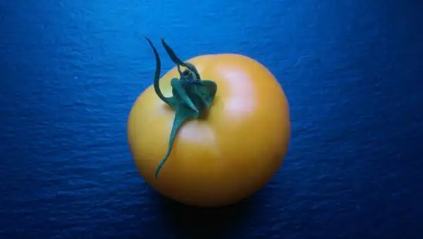 Tomaten: Jaffa