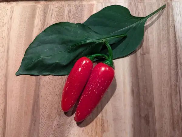 Chili / Paprika: Jalapeńo Big Guy