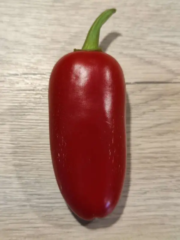 Chili / Paprika: Jalapeno