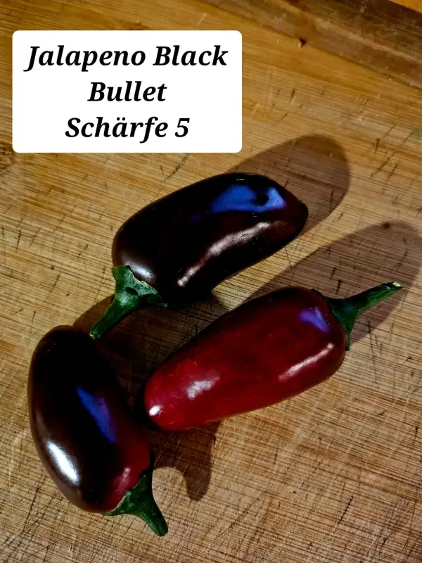 Chili / Paprika: Jalapeno Black Bullet