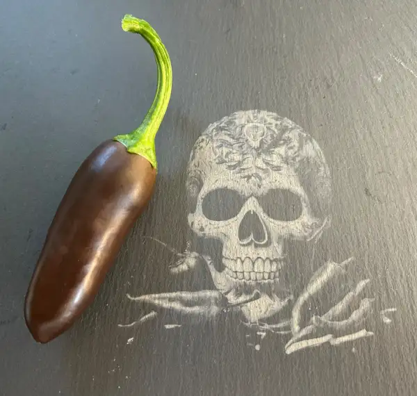 Chili: Jalapeno Brown