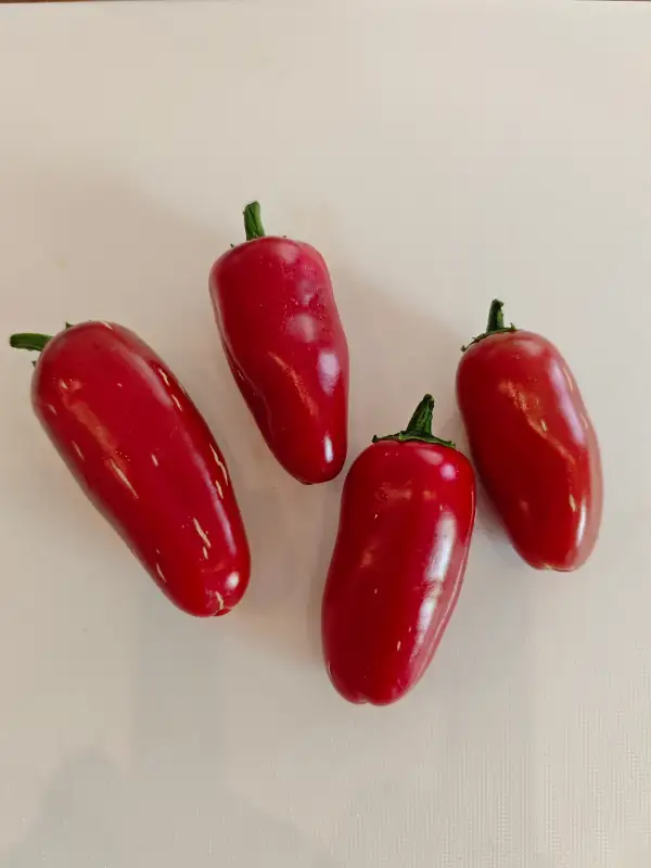 Chili / Paprika: Jalapeno Compadre