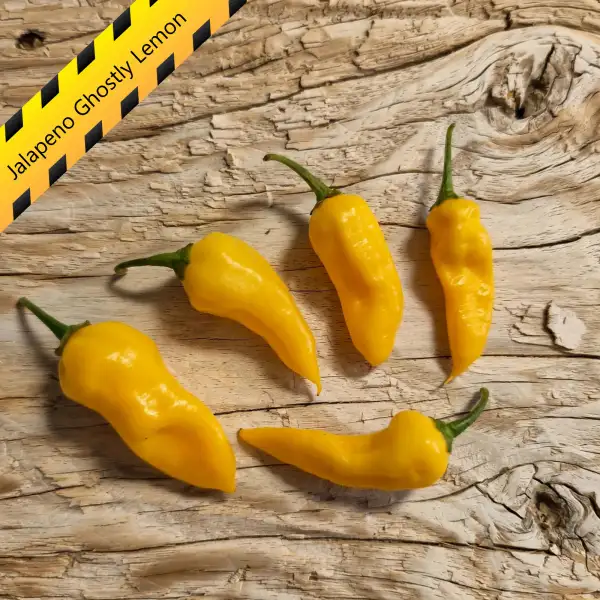 Chili: Jalapeno Ghostly Lemon