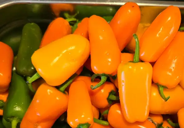 Chili / Paprika: Jalapeno II