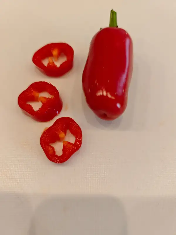 Chili / Paprika: Jalapeno Jalaro