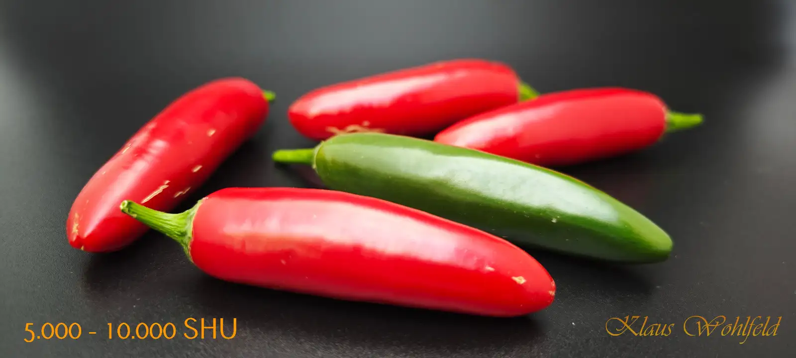 Chili / Paprika: Jalapeno (Schärfe 5)