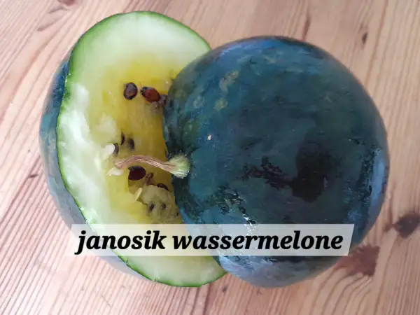 Obst: Janosik Wassermelone