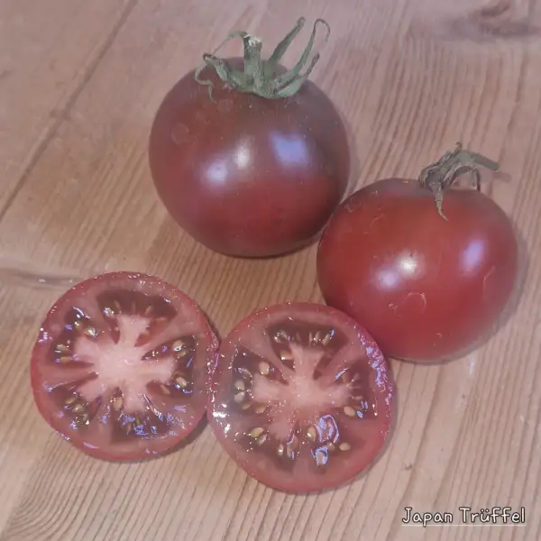 Tomaten: Japan Trüffel