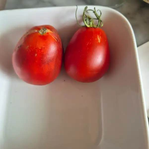 Tomaten: Japanische Trüffel