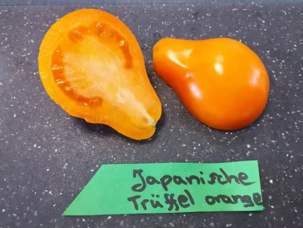 Tomaten: Japanische Trüffel Orange