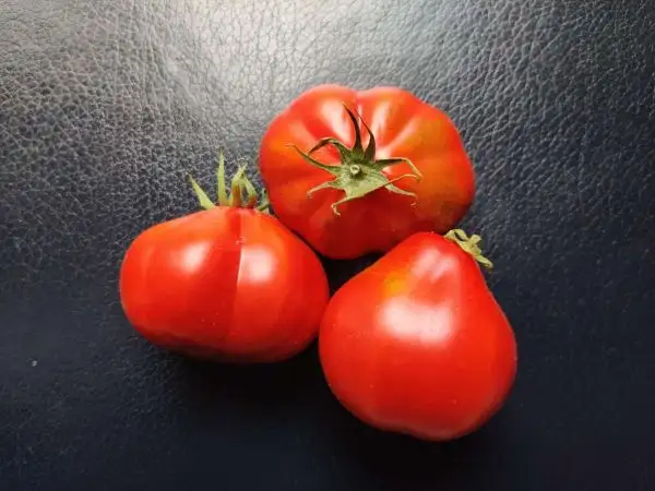 Tomaten: Japanische Trüffel, rot