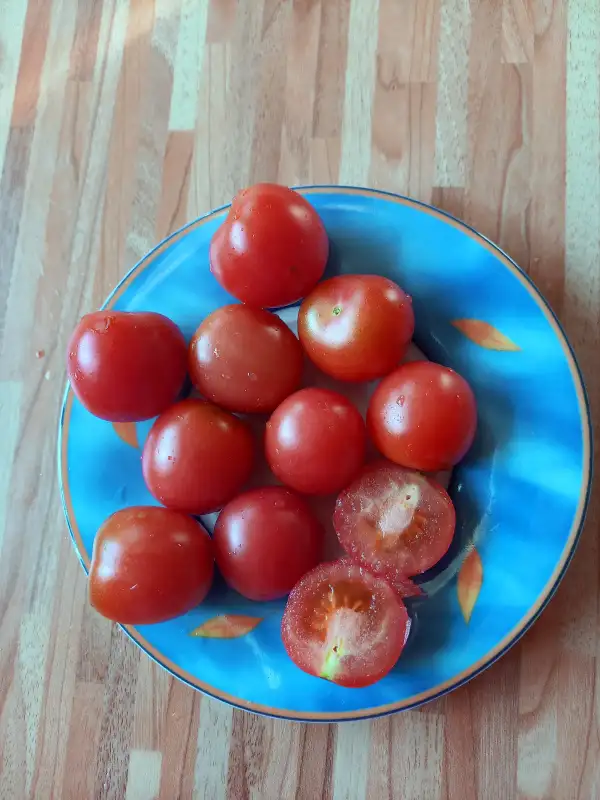 Tomaten: Japanoise Haute