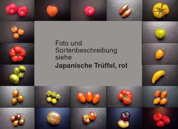 Tomaten: Japonskij Trüffel, rot