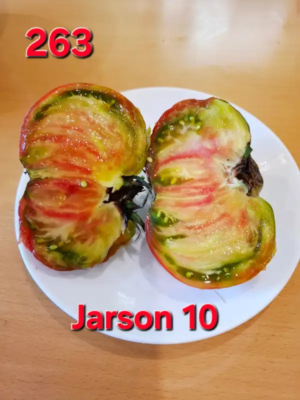Tomaten: Jarson 10