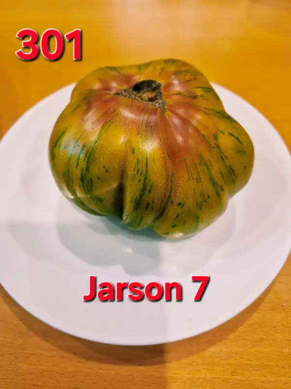 Tomaten: Jarson 7