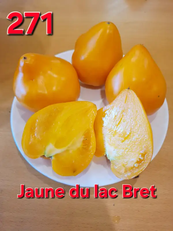 Tomaten: Jaune du lac Bret