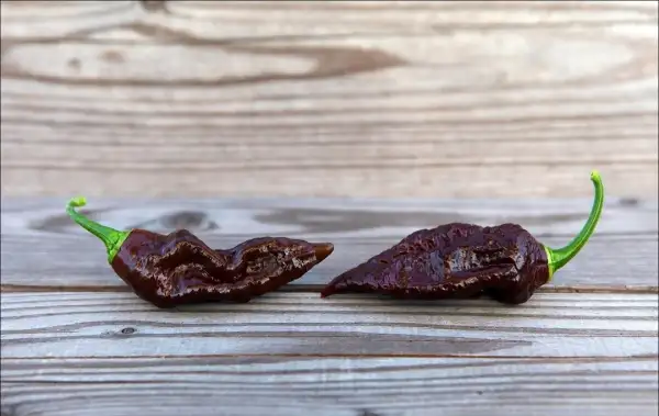 Chili / Paprika: Jay