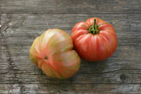 Tomaten: Jazz