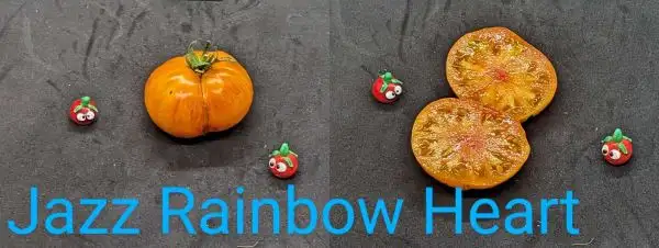 Tomaten: Jazz Rainbow Heart