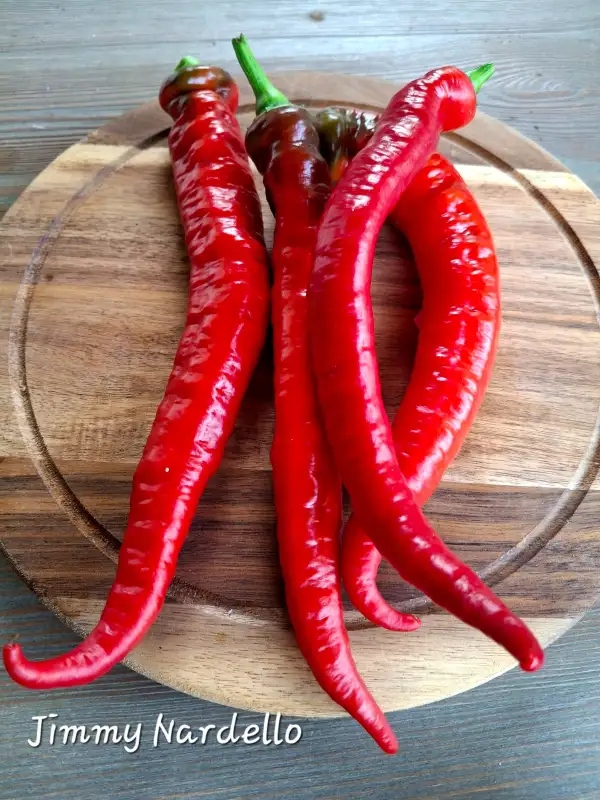 Chili / Paprika: Jimmy Nardello