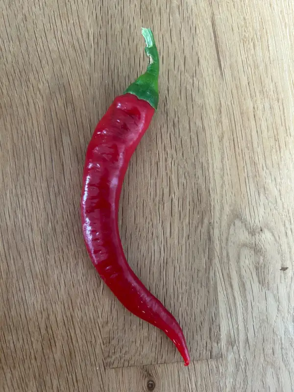 Paprika: Jimmy Nardello